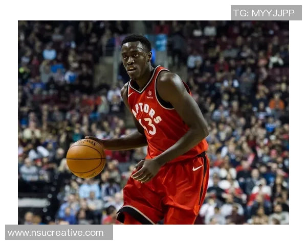 成都篮球队实力揭秘：从战术到球员全面剖析球队的崛起与未来发展