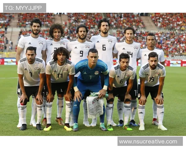 比利时与埃及足球比赛直播全程回顾及精彩瞬间分析 比利时与埃及足球比赛直播全程回顾及精彩瞬间分析