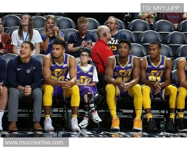 老虎竞技与圣马丁精彩对决比分揭晓赛季精彩瞬间回顾