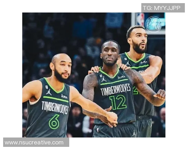 黄蜂与森林狼对决数据分析及比赛亮点回顾